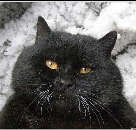 sergey
