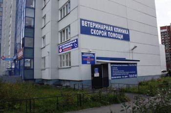 Скорая ветеринарная помощь Энималс