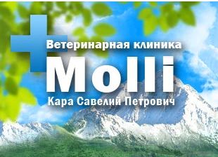 Ветеринарная клиника Молли (Molli)