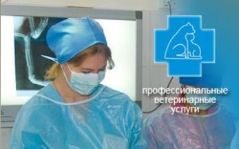 "Сеть ветеринарных клиник" (Ветеринарная многопрофильная клиника)