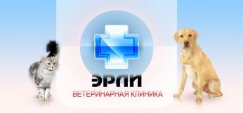 Ветеринарная клиника "Эрли"