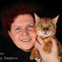 Я и моя бенгальская кошка Mindal BIG-BENG138