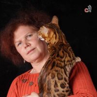 Я и моя бенгальская кошка Mindal BIG-BENG133