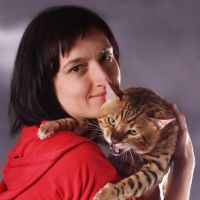 Я и моя бенгальская кошка Mindal BIG-BENG139