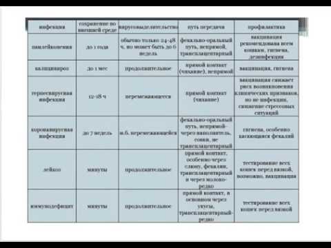 Вебинар. Инфекционные болезни кошек, Часть 2. Сеть ветклиник "Котонай".